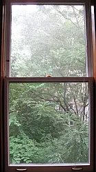 Rented by Owner