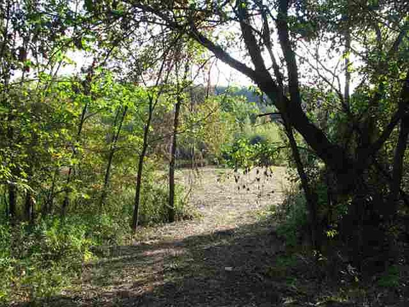 2nd image of 0 COUNTY RT 64