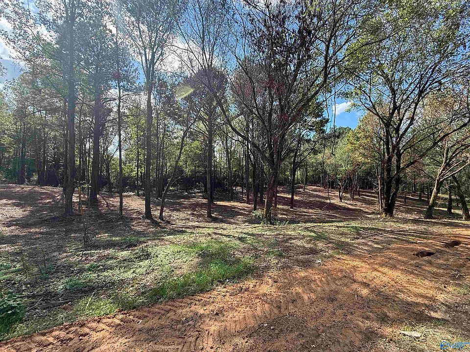 2nd image of 1A County Road 1123