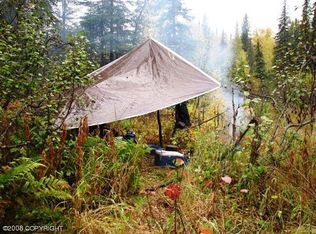 2587 Cygnet Lk, Trapper Creek, AK 99683