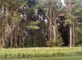 19501 Autumn Oak Ln, Brooksville, FL 34601