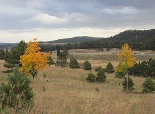 350 Pine Bluff Dr, Divide, CO 80814