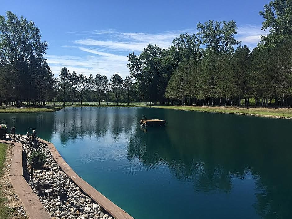 Beautiful Pond