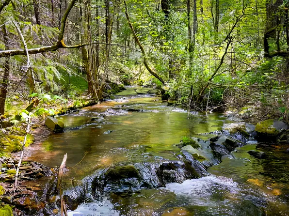 17050 Alicia Dr, Pioneer, CA 95666