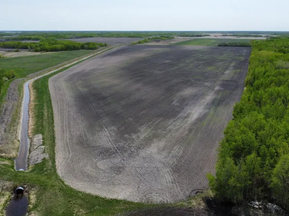 150th Ave NW, Newfolden, MN 56738