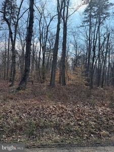 Edwards Shop Rd, Elkwood, VA, 22718