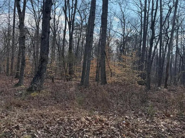 Edwards Shop Rd, Elkwood, VA 22718