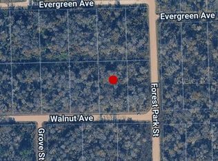 3998 WALNUT AVENUE LOT 18, BUNNELL, FL 32110