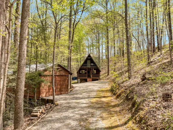 870 Steve Combs Rd, Wellington, KY 40387