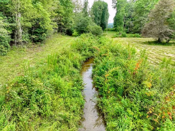 Weaver Creek Rd, Blue Ridge, GA 30513