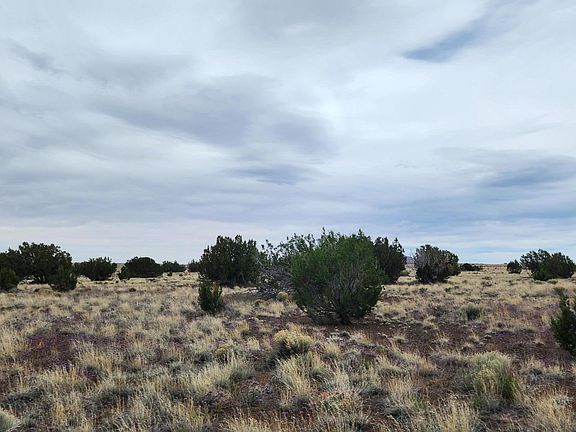 2nd image of 30342036C Alpine Rancho