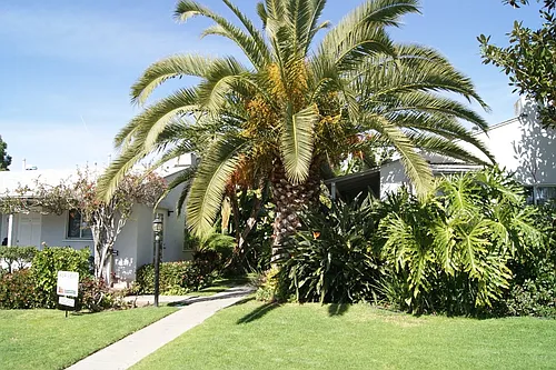 342-356 Nautilus Street Photo 1