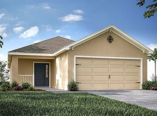 11795 Stone Pine St, Riverview, FL 33569