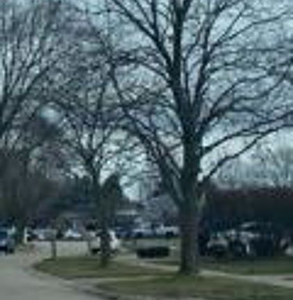 Exterior Neighborhood (street photo)