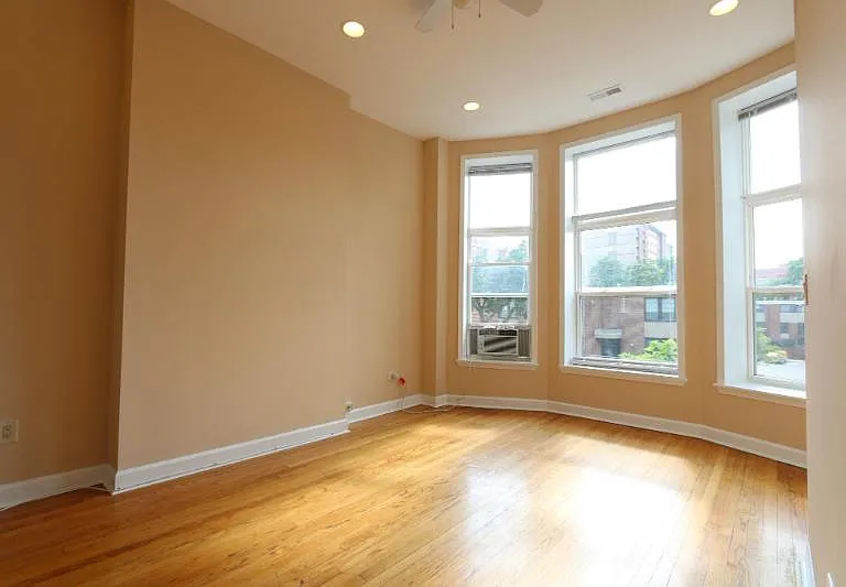 817 S Laflin St #2F — Photo 3