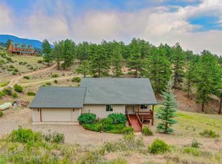 122 W Cline Dr, Bailey, CO 80475