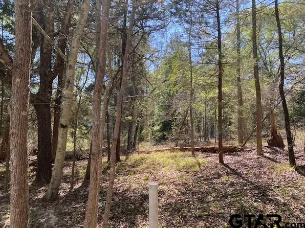 Broad Mdw, Murchison, TX 75778