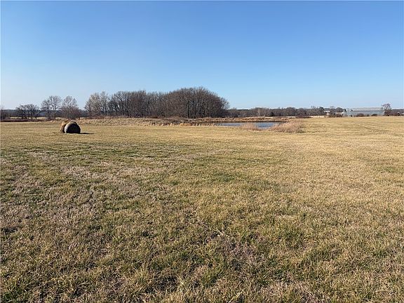 3rd image of Curtis Rd