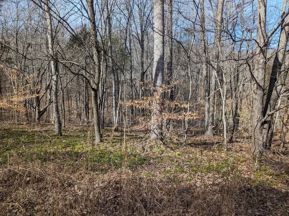 0 Clyde Wix Rd Lot 3, Westmoreland, TN 37186