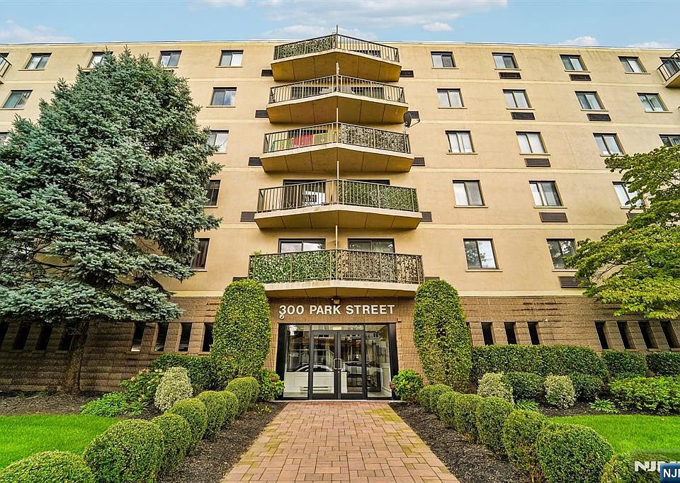 1st image of 300 Park Street #1F