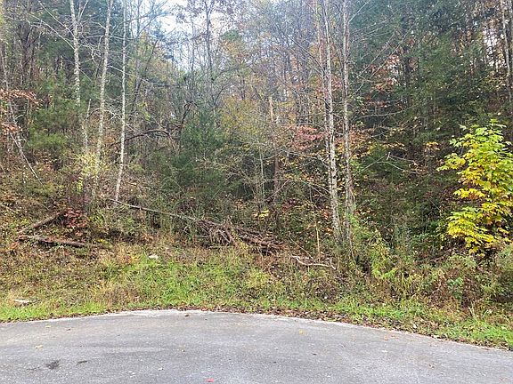 3rd image of 0 Maples Branch Rd Lot 14&13