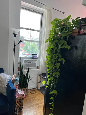 Rented by Delmark Realty LLC | media 43