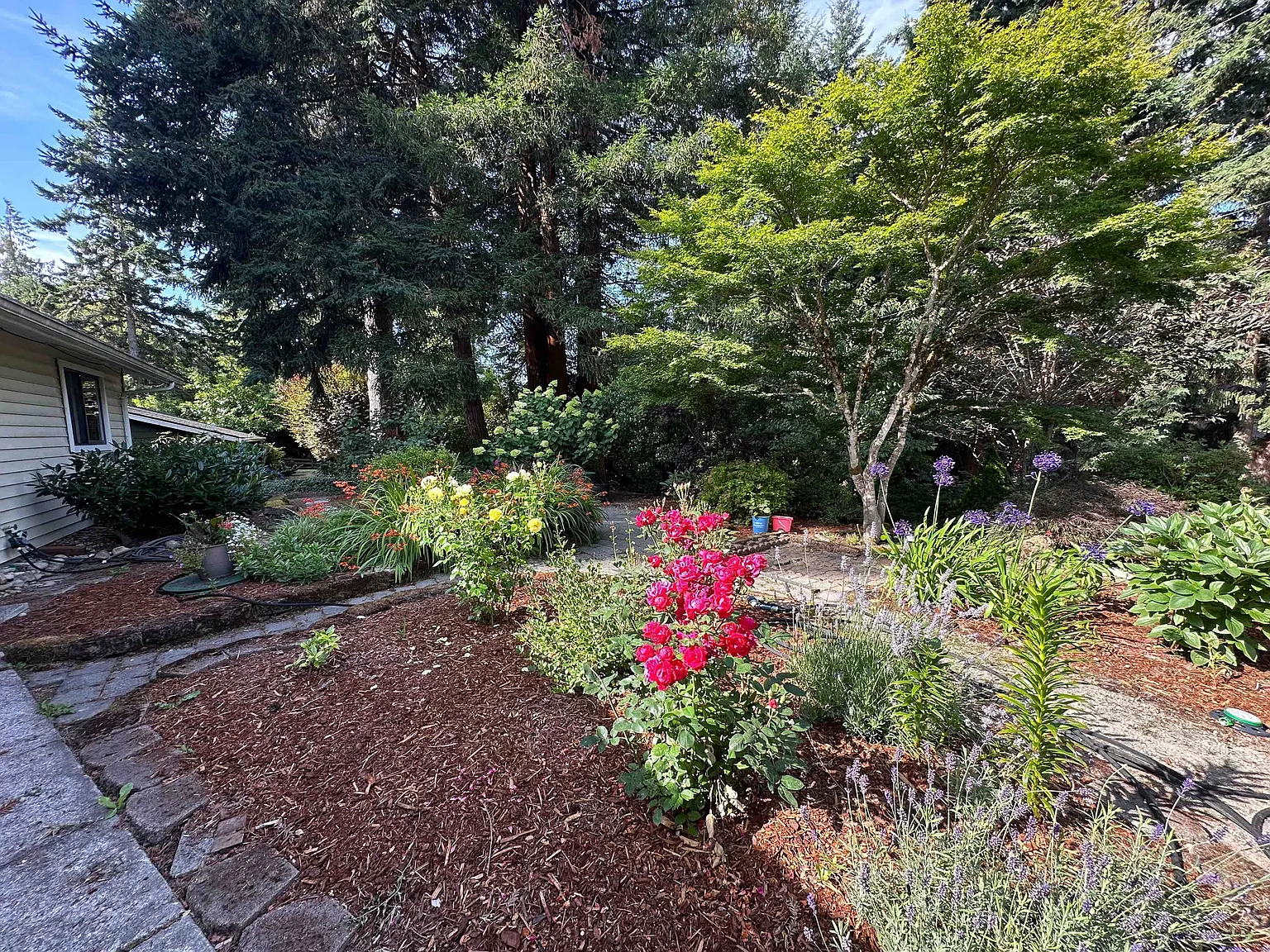 3 bed, 1381 sqft, $3,500 — Photo 4