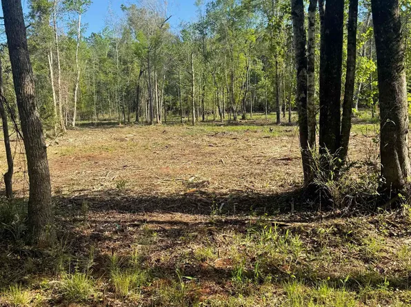 TBD Pauley Swamp Rd. #Tract 5-E, Conway, SC 29527