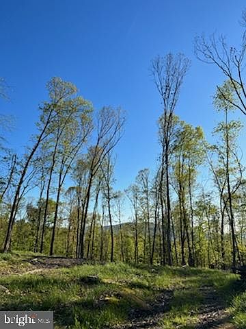 2nd image of Magnolia Rd