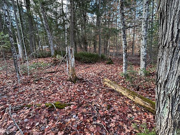 2nd image of 0 Mill Lake Rd