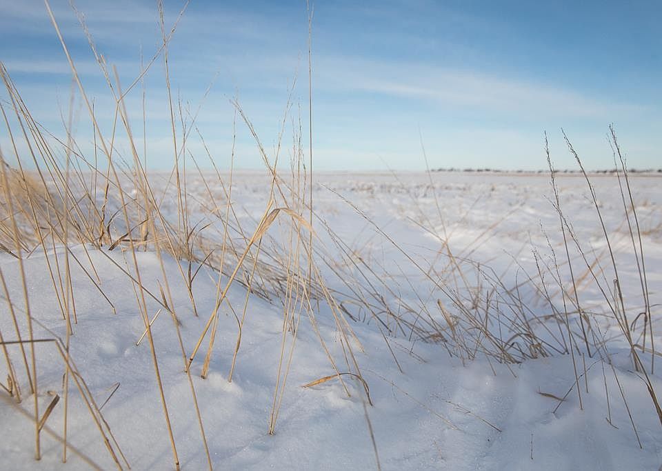 0 308th Ave, Presho, SD 57568 Zillow