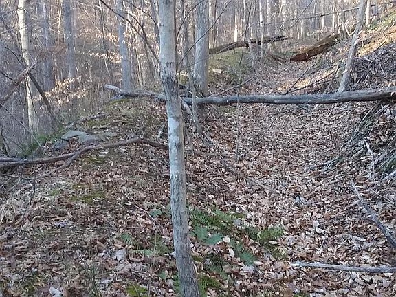 5th image of Drummer Hill Rd