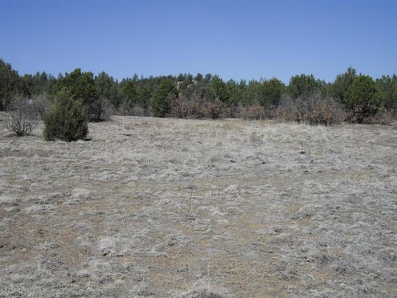 2nd image of 7511 County Road 53.1 Trak #2