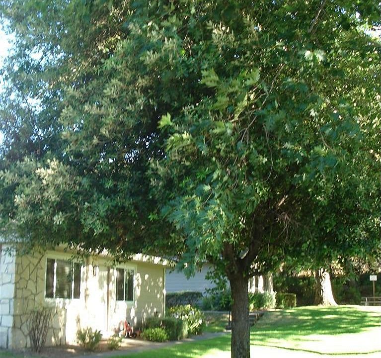 2nd image of 25 Klamath Way