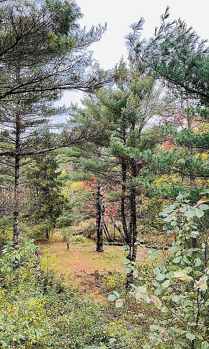 2nd image of W2281 Krause Rd