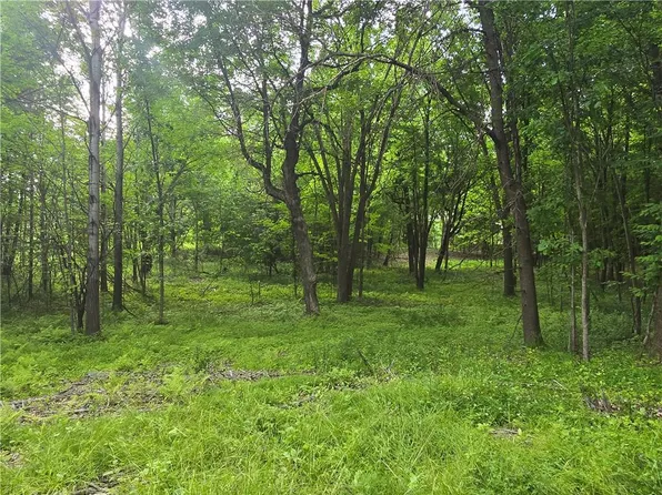 XXX 120th Avenue, Amery, WI 54001