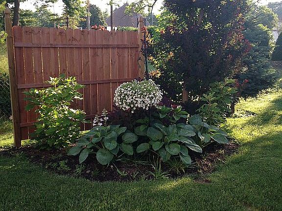 3rd image of 2904 Acorn Dr