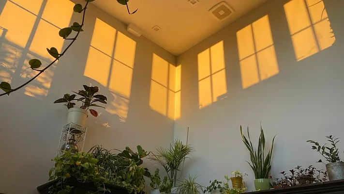 Rented by Nooklyn NYC LLC | media 18