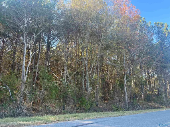 6.003 County Road 34, Centre, AL 35960