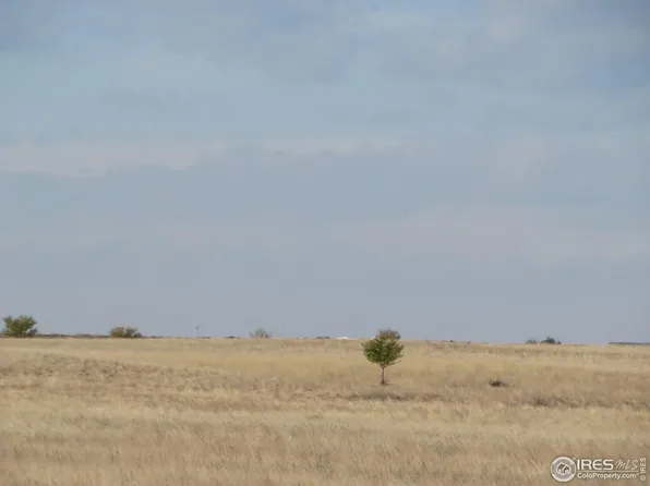 0 Parcel 1 North, Briggsdale, CO 80611
