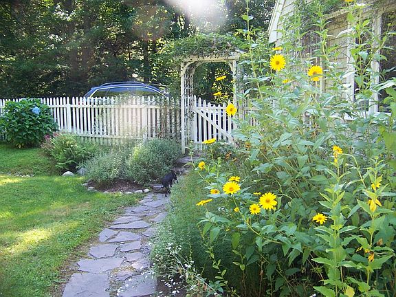 Front Garden & Path 