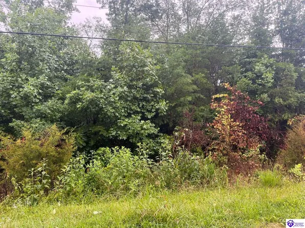 28 Robbin Ln, Cub Run, KY 42729