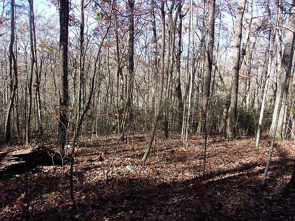 3rd image of Laurel Dr