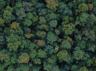 19215 Shady Ln, Carson, VA 23830