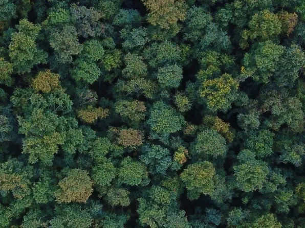 19215 Shady Ln, Carson, VA 23830