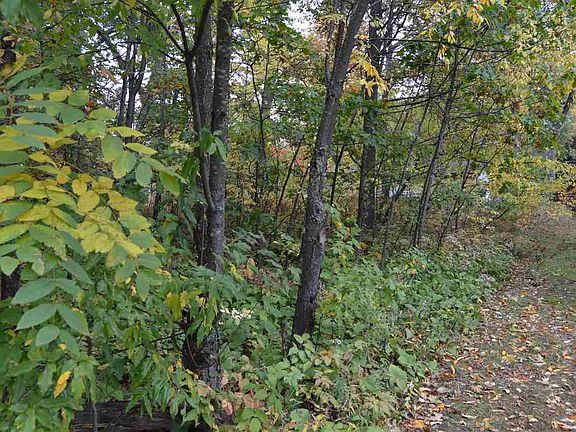 3rd image of 15 B4 Maple Bluff Ave