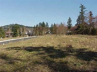2nd image of 3618 Tree Farm Ct