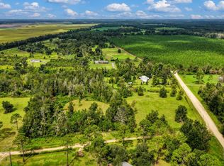 164 SE Mandarin Way, Lee, FL 32059