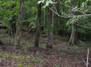 Indian Shores Dr, Ten mile, TN 37880