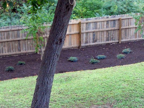 New Landscaping 10-11